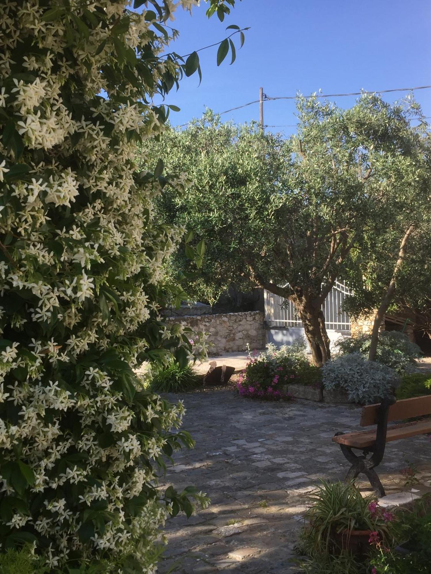 Le Clos Du Jas Marseille Rum bild